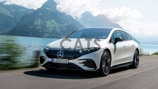 日媒：歐洲電動汽車銷售越來越依賴補貼 比燃油車貴不少